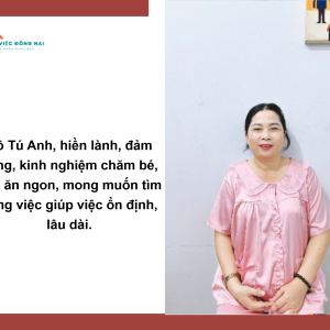 Chị Lê Thị Tú Anh, Sinh Năm 1980, Quê Đồng Nai Cần Tìm Việc