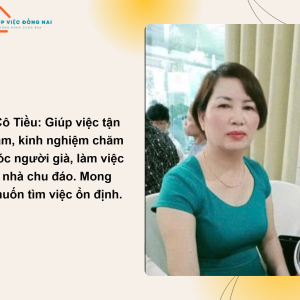 Chị Bùi Thị Tiều, Sinh Năm 1966, Quê Hoà Bình Cần Tìm Việc