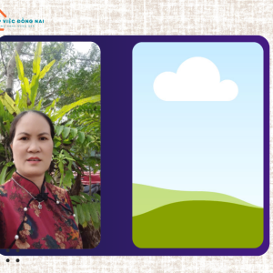 Chị Phùng Thị Hà, Sinh Năm 1973, Quê Thanh Hóa Cần Tìm Việc