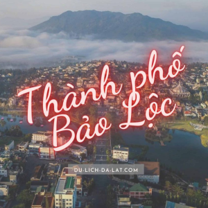 Tuyển Cô Giúp Việc Về Ở Với Bà - Làm Việc Tại Bảo Lộc _ Lâm Đồng