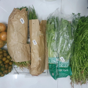 Nhà Ông Bà Khỏe Mạnh Cần Chị Nội Trợ