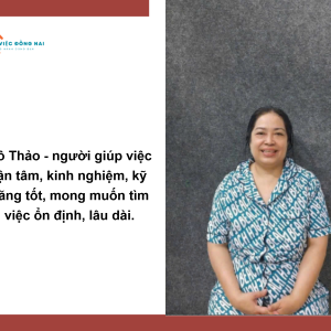 Chị Trần Thị Thu Thảo, Sinh Năm 1975, Quê Đà Nẵng Cần Tìm Việc