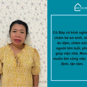 Chị Nguyễn Thị Hải, Sinh Năm 1973, Quê Nghệ An Cần Tìm Việc
