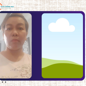 Chị Hà Thị Kim Lý, Sinh Năm 1978, Quê Bình Định Cần Tìm Việc