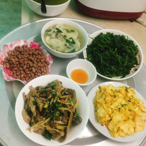 Tuyển Gấp Giúp Việc Nhà Quận 8 - Lương Cao, Không Yêu Cầu Kinh Nghiệm