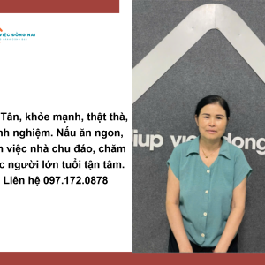 Chị Phạm Thị Tân, Sinh Năm 1972, Quê Hà Tĩnh Cần Tìm Việc