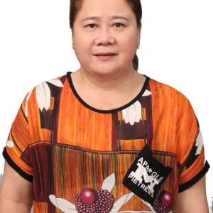 Chị Bích 1980 Cần Tìm Việc Giúp Việc Nhà
