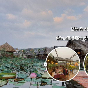 Nhà Hàng Sen Nam Bộ Quận 9 Đang Cần Tuyển Chị Tạp Quán (bao Ăn Ở Lại)