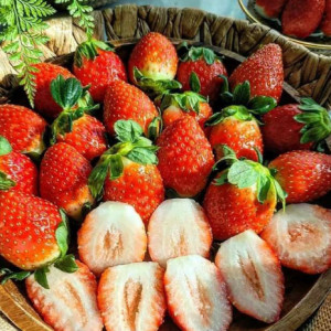 Tuyển Gấp 1 Cô Nấu Ăn Ngon Đi Làm Bao Ăn Ở Lại A