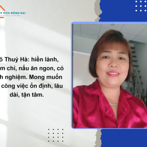 Chị Nguyễn Thuý Hà, Sinh Năm 1979, Quê Phú Thọ Cần Tìm Việc