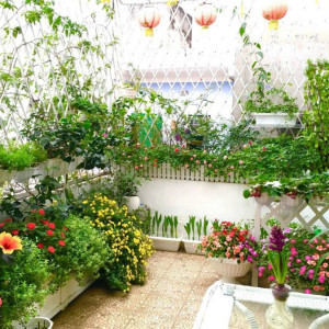 Hi Vọng Hôm Nay Rước Được 1 Cô Giúp Việc Nhà Về Với Gia Đình Em...gấp Lắm Rồi