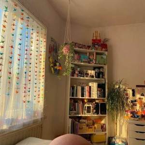 Tuyển Gấp Một Chị Ăn Chay Đi Giúp Việc Nhà Ở Đà Lát. Lương 10 Triệu