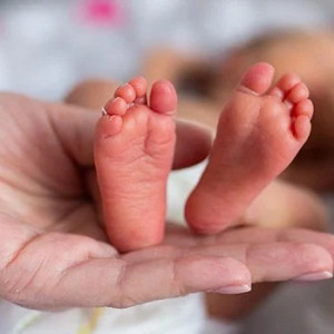 Gia Đình Vợ Chồng Rất Cần Cô Chăm Sóc Bé Sơ Sinh Mới Sanh