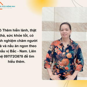 Chị Nguyễn Thị Thêm, Sinh Năm 1972, Quê Hưng Yên Cần Tìm Việc