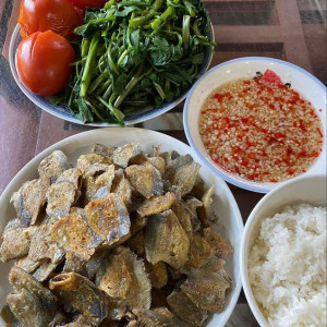 Trong Hôm Nay Em Cần Tìm Gấp 1 Chị Chuyên Giúp Việc Nhà Tại Quận 1