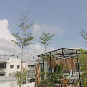 Cần Gấp 1 Cô Giúp Việc Nhà Bao Ăn Ở Lại Tại Long An