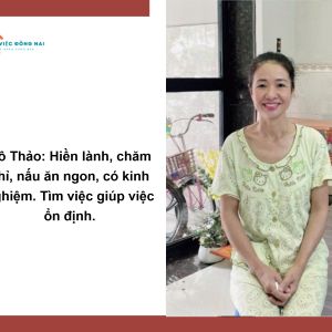 Chị Phan Thị Thu Thảo, Sinh Năm 1972, Quê Nam Định Cần Tìm Việc