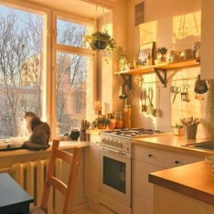 Q12 Cần Tuyển Gấp 1 Cô Giúp Việc Di Làm Hôm Nay