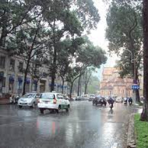 Cháu Nhà Em Được 7 Tháng Tuổi Trộm Vía Ngoan Ngoãn, Em Cần Tuyển Gấp 1 Cô Biết Chăm Cháu Đi Làm Ngay Vì Sắp Tới Em Phải Đi Làm , Chủ Yếu Làm Những Việc Liên Quan Về Bé Không Làm Việc Nhà Như 