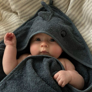 Gia Đình Em Ở Thảo Điền Tìm Gấp Cô Chăm Bé 2 Đi Về