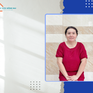 Chị Đào Thị Hoa Hồng, Sinh Năm 1978, Quê Bình Định Cần Tìm Việc