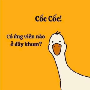 Lương Nhà Em Trả 10tr - Cần Tìm 1 Cô Về Chăm Bé 7 Tháng Cho Vc Em Đi Làm