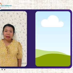 Chị Nguyễn Thị Hải, Sinh Năm 1973, Quê Nghệ An Cần Tìm Việc