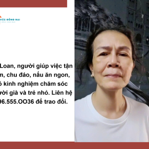 Em Tìm Việc Giúp Cô Loan (1975) Quê Nam Định, Mong Muốn Công Việc Ổn Định