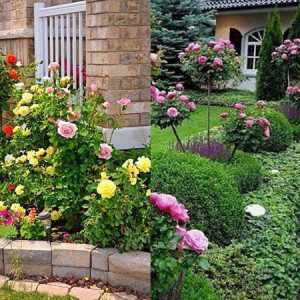 Tìm Người Giúp Việc Thật Thà, Chăm Chỉ - Khu Chung Cư Cao Cấp Quận 2