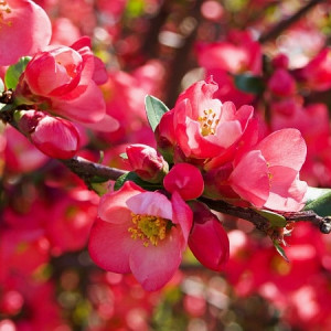 Quý Khách Hàng Đã Ủng Hộ Trong Hơn 20 Năm Qua