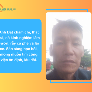 Chị Trần Minh Đạt, Sinh Năm 1974, Quê Quảng Bình Cần Tìm Việc