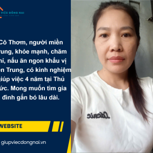 Chị Phan Thị Thơm, Sinh Năm 1983, Quê Hà Tĩnh Cần Tìm Việc