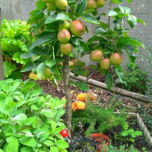 Em Cần Chị Giúp Việc Nhà 2 Lầu Ở Khu Phu Mỹ Hưng Quận 7.