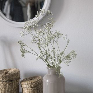 Nhà 1 Lầu 47m2 Sư Vạn Hạnh Quận 10 Cần Tìm 1 Chị Gái Làm Công Việc Nội Trợ Gia Đình