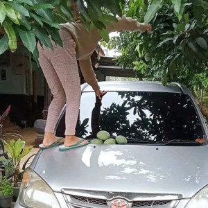 Tuyển Chị Giúp Việc Làm Bao Ăn Ở Lại -Lương: 10 Triệu, Bao Ăn Ở Lại, Làm Cho Nhà Chị Sếp 3 Người Ở Quận 3.