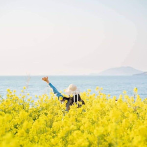 Cần Tuyển Chị Giúp Việc Nhà, Đưa Đón Bé Đi Học (ở Lại)