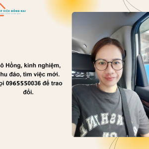 Chị Hồng (1985) Cần Tìm Việc Giúp Việc Nhà