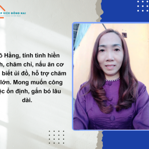 Chị Đỗ Thị Hằng, Sinh Năm 1976, Quê Hồ Chí Minh Cần Tìm Việc