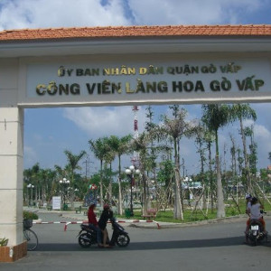 Em Cần Chị Giúp Việc Nhà Ở Gò Vấp Làm Ở Lại
