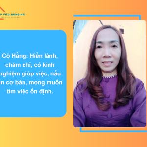 Chị Đỗ Thị Hằng, Sinh Năm 1976, Quê Hồ Chí Minh Cần Tìm Việc
