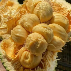 Tuyển Gấp Cô Giúp Việc Nhà Quận 7 - Lương Cao, Bao Ăn Ở!