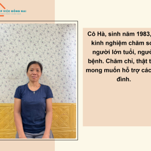 Chị Hà Cần Kiếm Việc Làm