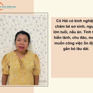 Chị Nguyễn Thị Hải, Sinh Năm 1973, Quê Nghệ An Cần Tìm Việc