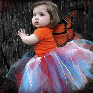 Nhà Mình Đang Cần Gấp Chị Chăm Bé 2 Tuổi (ở Lại)