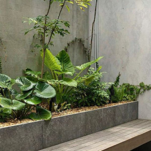 Em Tìm Chị Giúp Việc Nấu Ăn Nhà Ở Mai Chí Thọ, Quận 2.