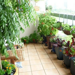 Tìm Gấp Hôm Nay Chị Giúp Việc Nội Trợ Ở Cùng Với Gia Đình