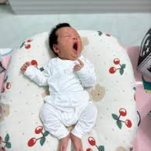 Gia Đình Bé Son 2 Tháng Tuổi Đang Cần Cô Chăm Bé