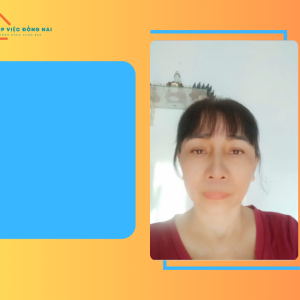 Chị Đỗ Thị Khánh Ly, Sinh Năm 1970, Quê Bình Định Cần Tìm Việc