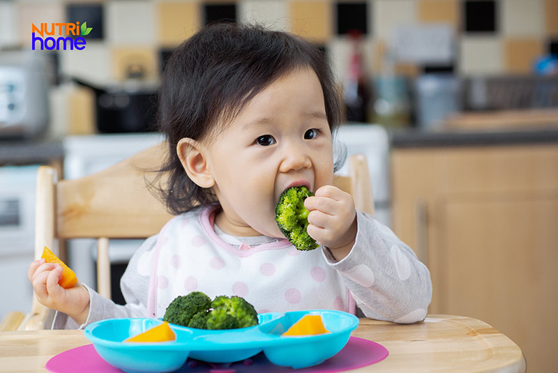 <i>Nên cắt nhỏ thức ăn ra để bé có thể tự ăn</i>